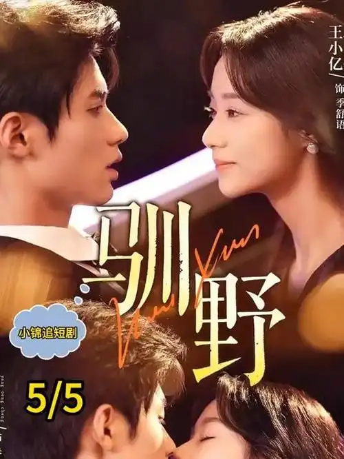 山海关外 年代传奇剧全集在线观看